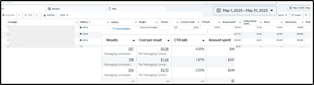 SS client Meta Ads management 1