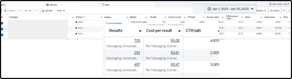SS client Meta Ads management 2