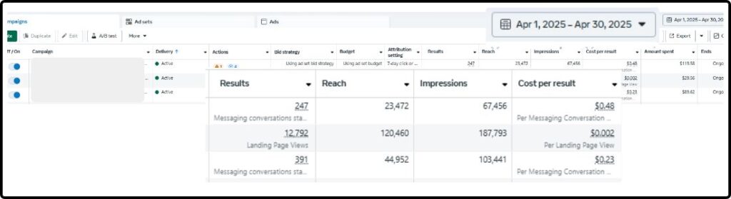 SS client Meta Ads management 3